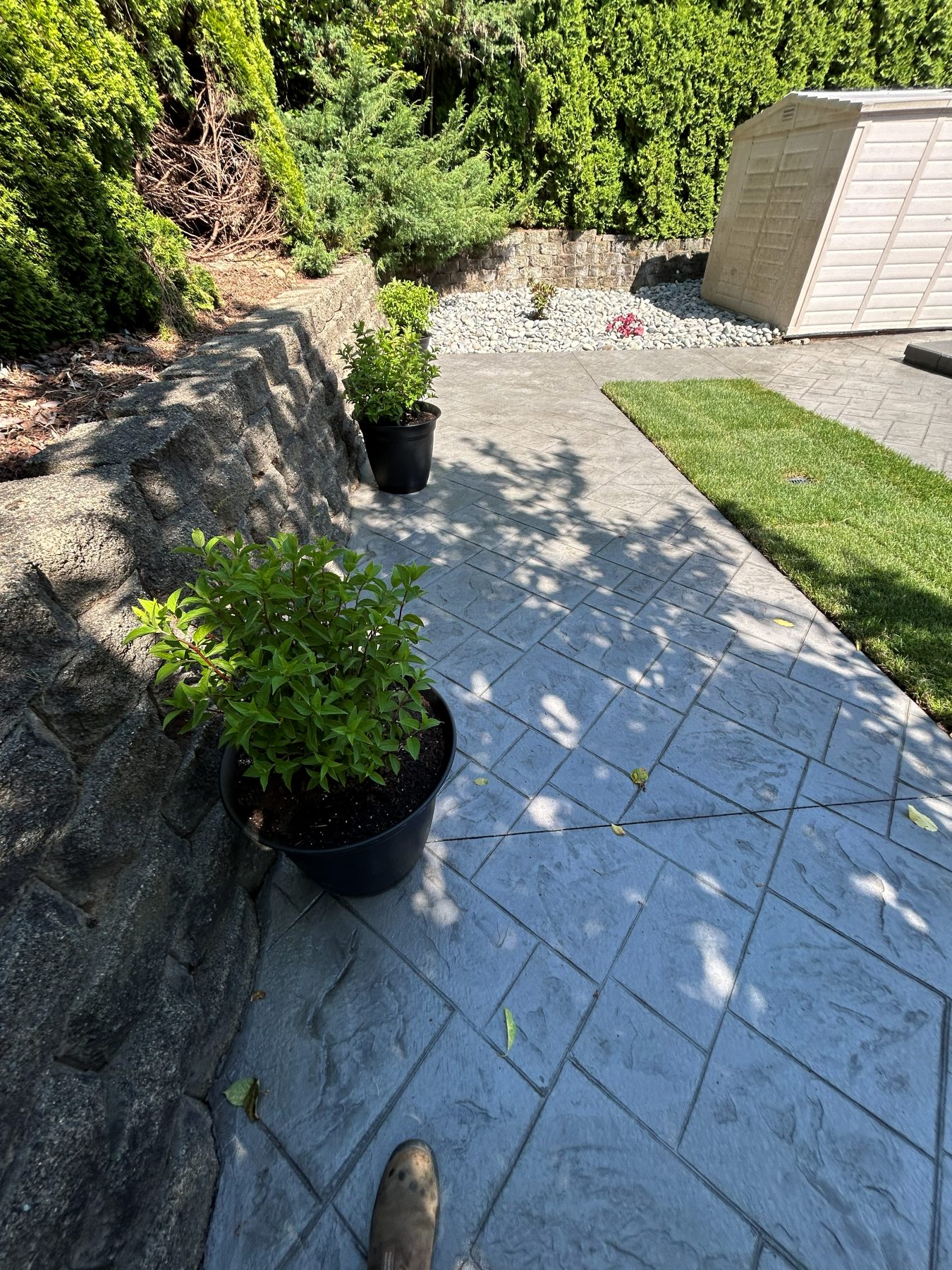 Real residential concrete project photo from a Lower Mainland job site