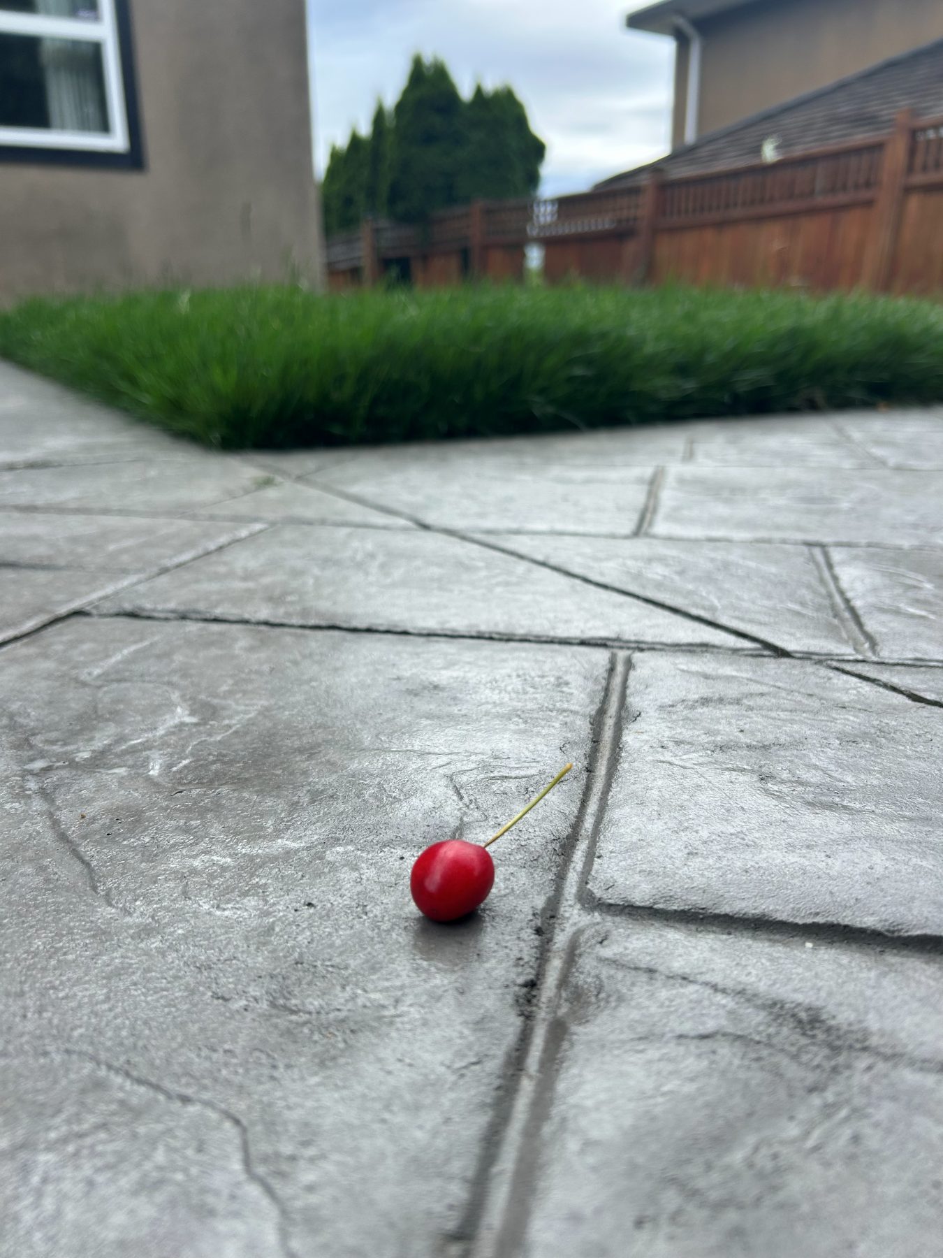 Real residential concrete project photo from a Lower Mainland job site